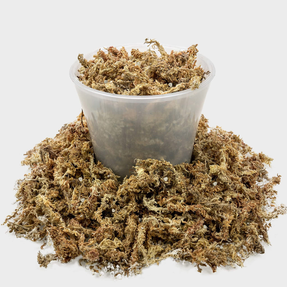 Gardenera perlite aeration-enhanced mix boosts root health