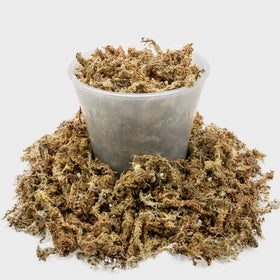 Gardenera perlite aeration-enhanced mix boosts root health