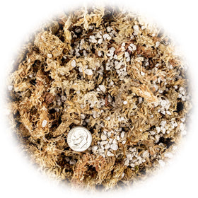 Gardenera ready-to-use packaging for mess-free potting