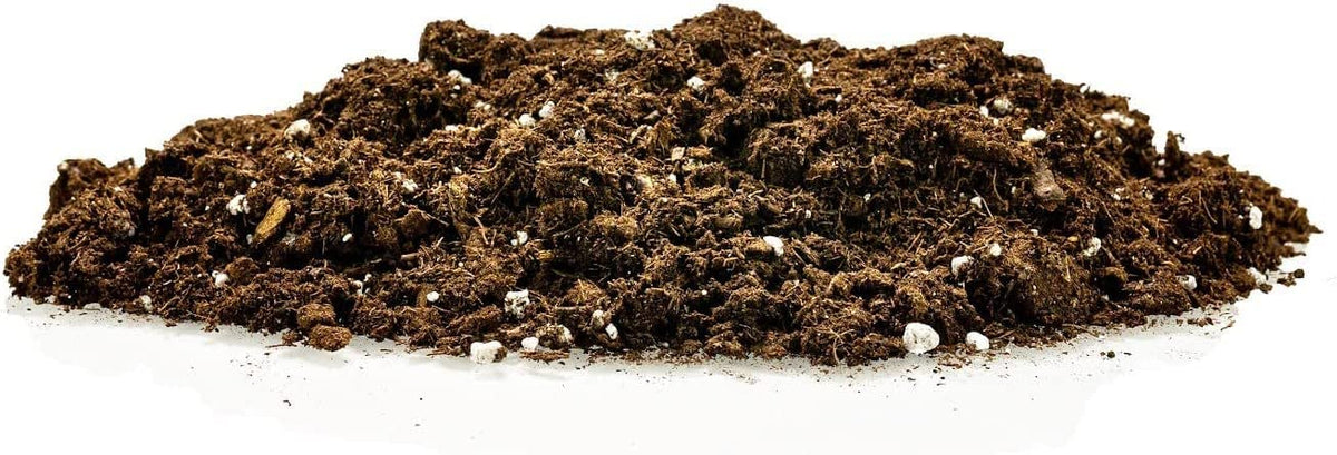Gardenera ready-to-use soil simplifies potting for snake plants