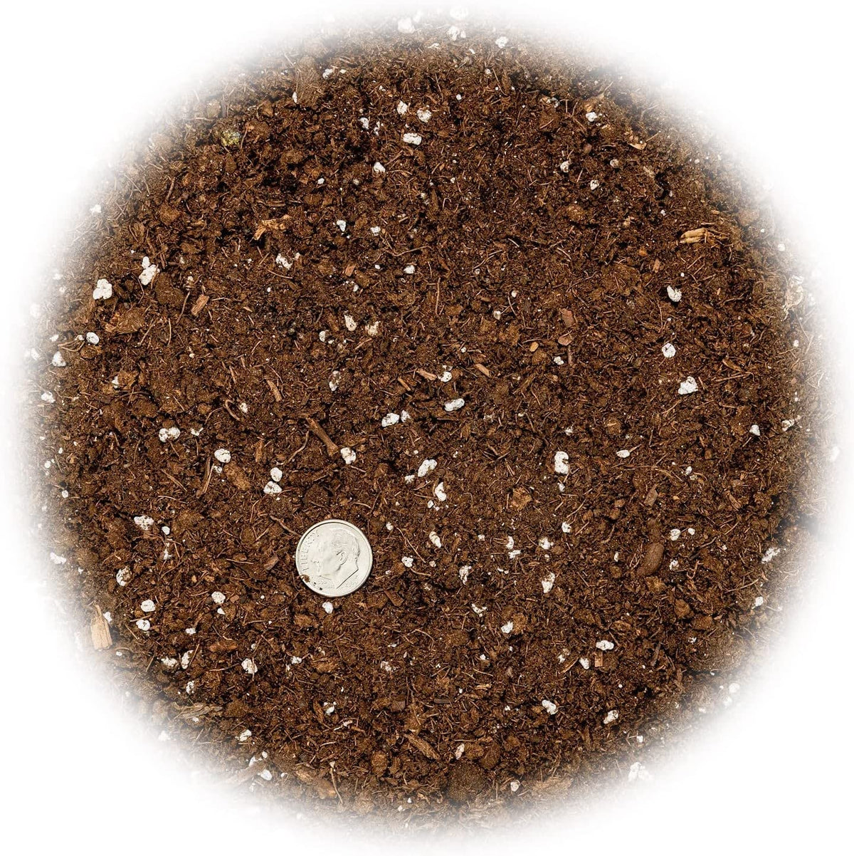 Gardenera mix supports rapid root development in snake plants