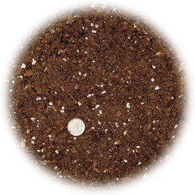 Gardenera mix supports rapid root development in snake plants
