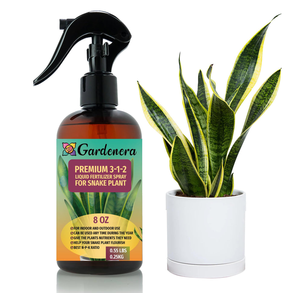 Gardenera snake plant spray bottle delivering a gentle 3-1-2 fertilizer mist for healthy growth