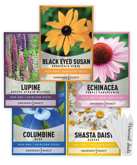 Gardeners Basics 5-variety perennial seeds pack ready for spring planting, designed to bloom year after year.