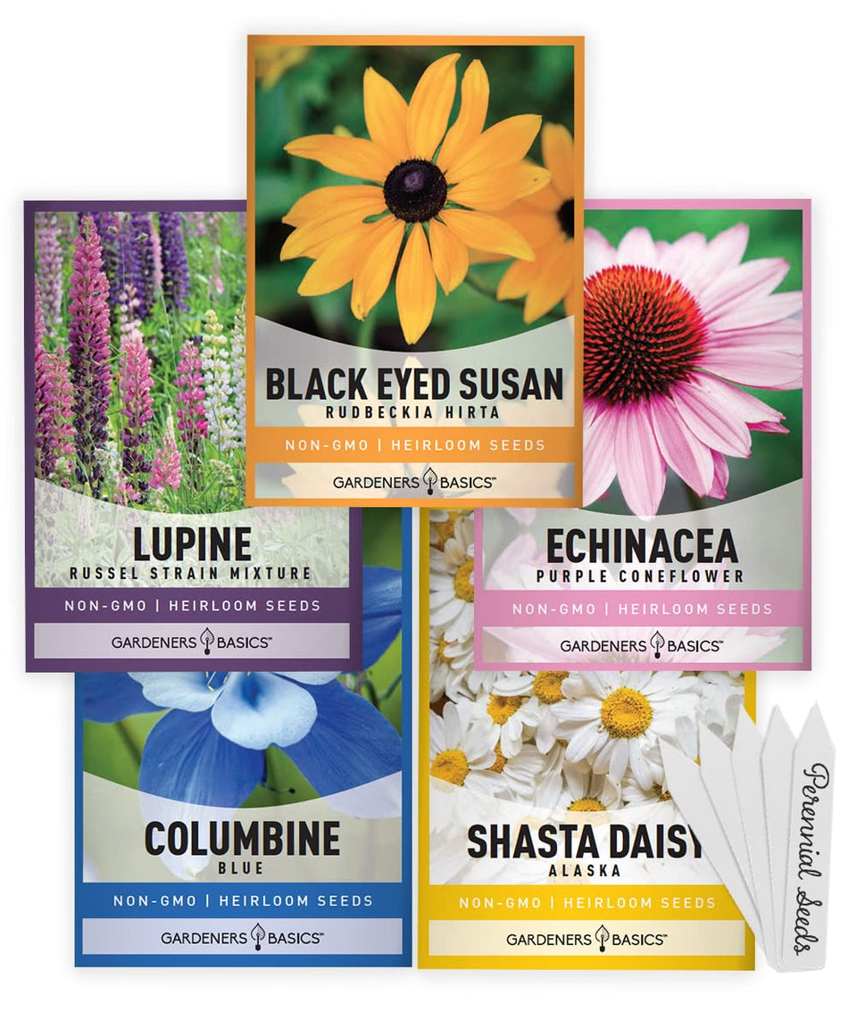 Gardeners Basics 5-variety perennial seeds pack ready for spring planting, designed to bloom year after year.
