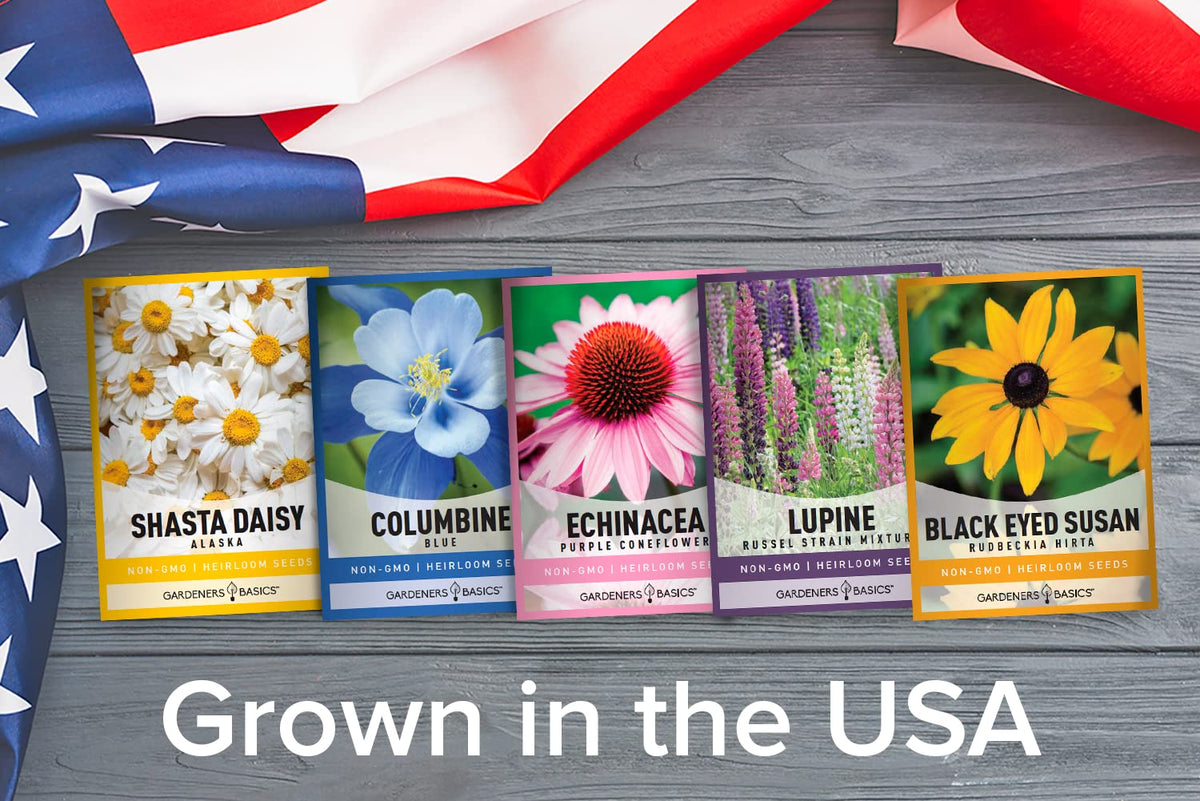 Gardeners Basics alaska-shasta-daisy seeds offer reliable perennial blooms for sunny beds.