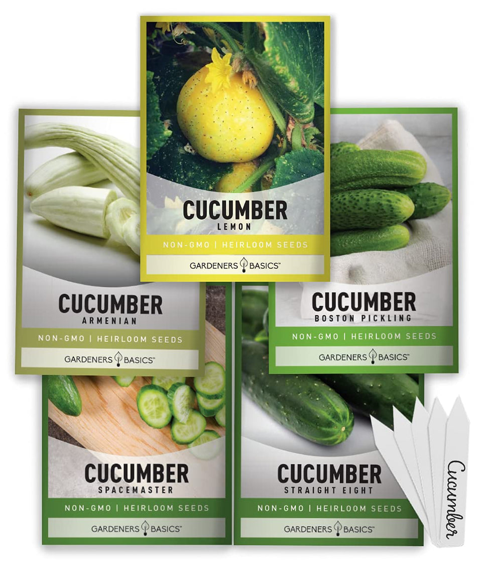 Gardeners Basics Armenian cucumber seeds for burpless slicing with pale green skin.