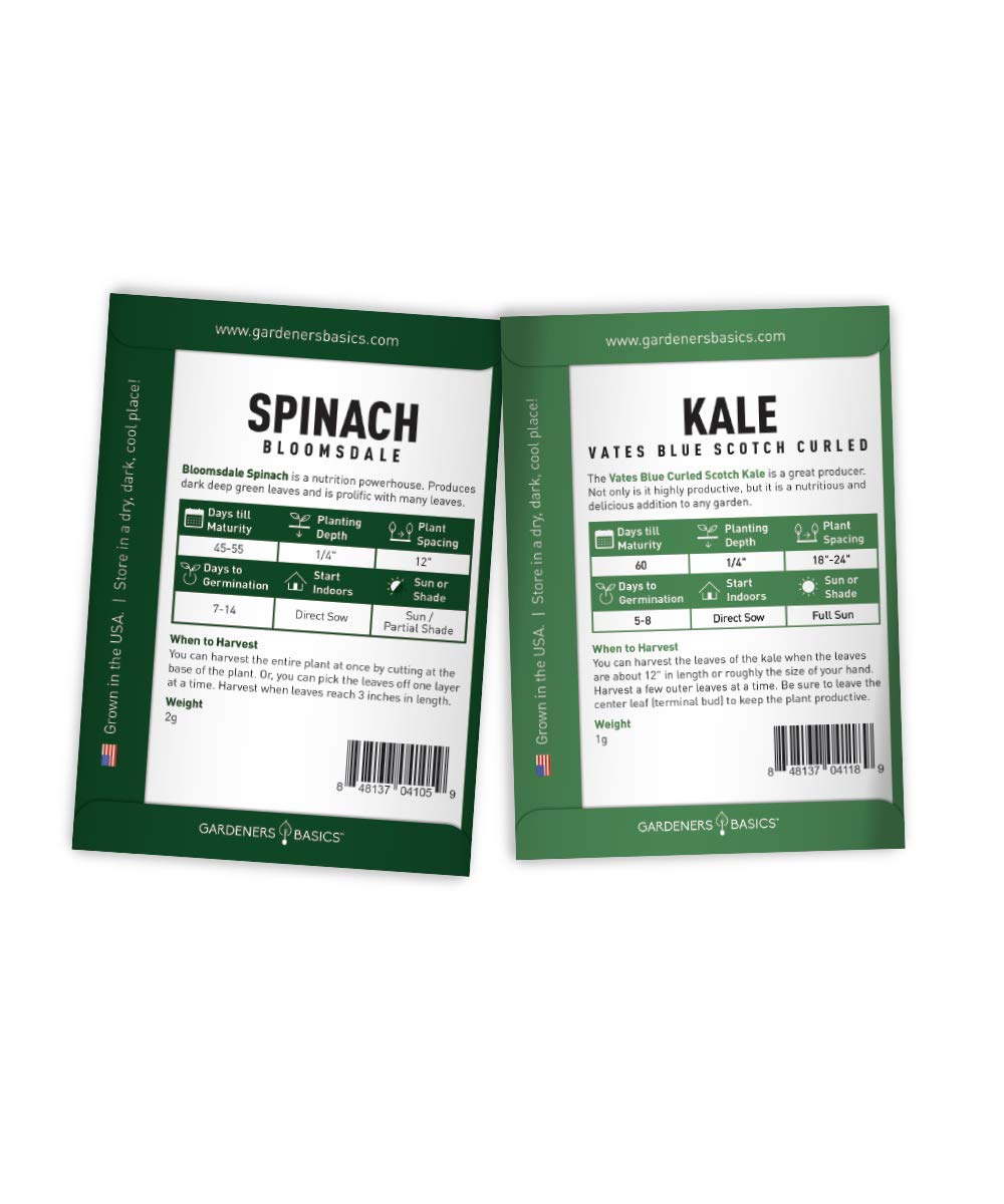 Gardeners Basics arugula Roquette seeds for peppery greens.