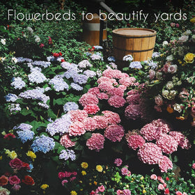 Pollinator-friendly seeds from Gardeners Basics inviting bees and butterflies to the yard.