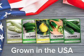 Gardeners Basics Boston Pickling cucumber seeds ideal for crisp homemade pickles.