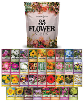 Gardeners Basics flower seeds seed packets in a colorful variety for a pollinator-friendly garden.