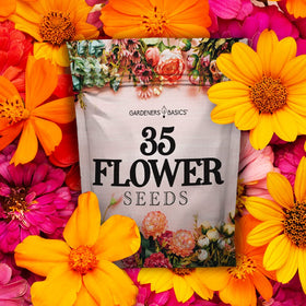 Giftable Gardeners Basics seed pack in a neat bag, ideal for gifting gardeners.