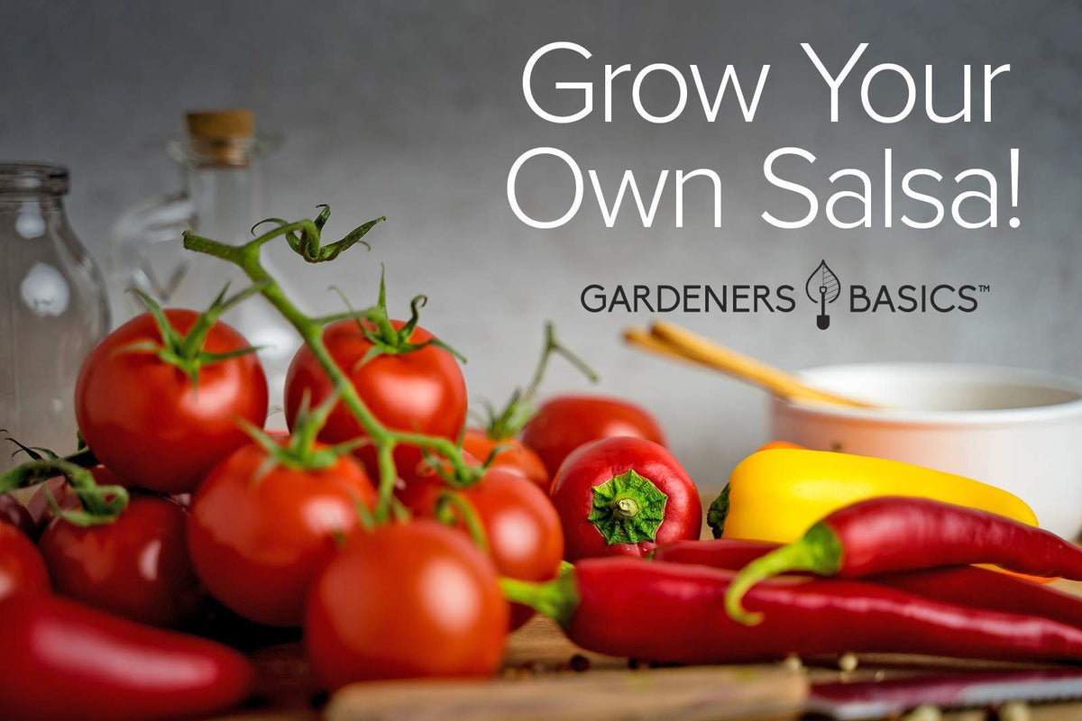 Gardeners Basics Roma tomato seed for plump, versatile tomatoes ideal for salsa bases.