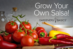 Gardeners Basics Roma tomato seed for plump, versatile tomatoes ideal for salsa bases.