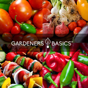 Gardeners Basics San Marzano tomato seed for rich, sauce-ready varieties from your garden.