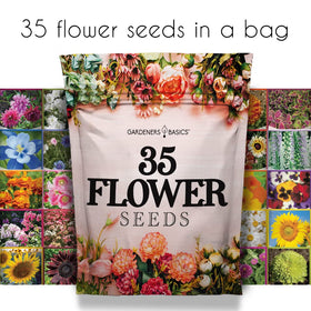 Heirloom, open-pollinated seeds from Gardeners Basics for future plantings.