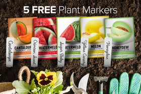 Gardeners Basics Sugar Baby watermelon seed pack ideal for small spaces