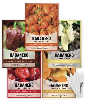 Gardeners Basics orange habanero seeds packet for bright heat and vibrant peppers