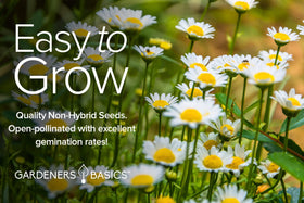 Gardeners Basics pollinator-friendly wildflowers enhance bee visitation and garden color year after year.