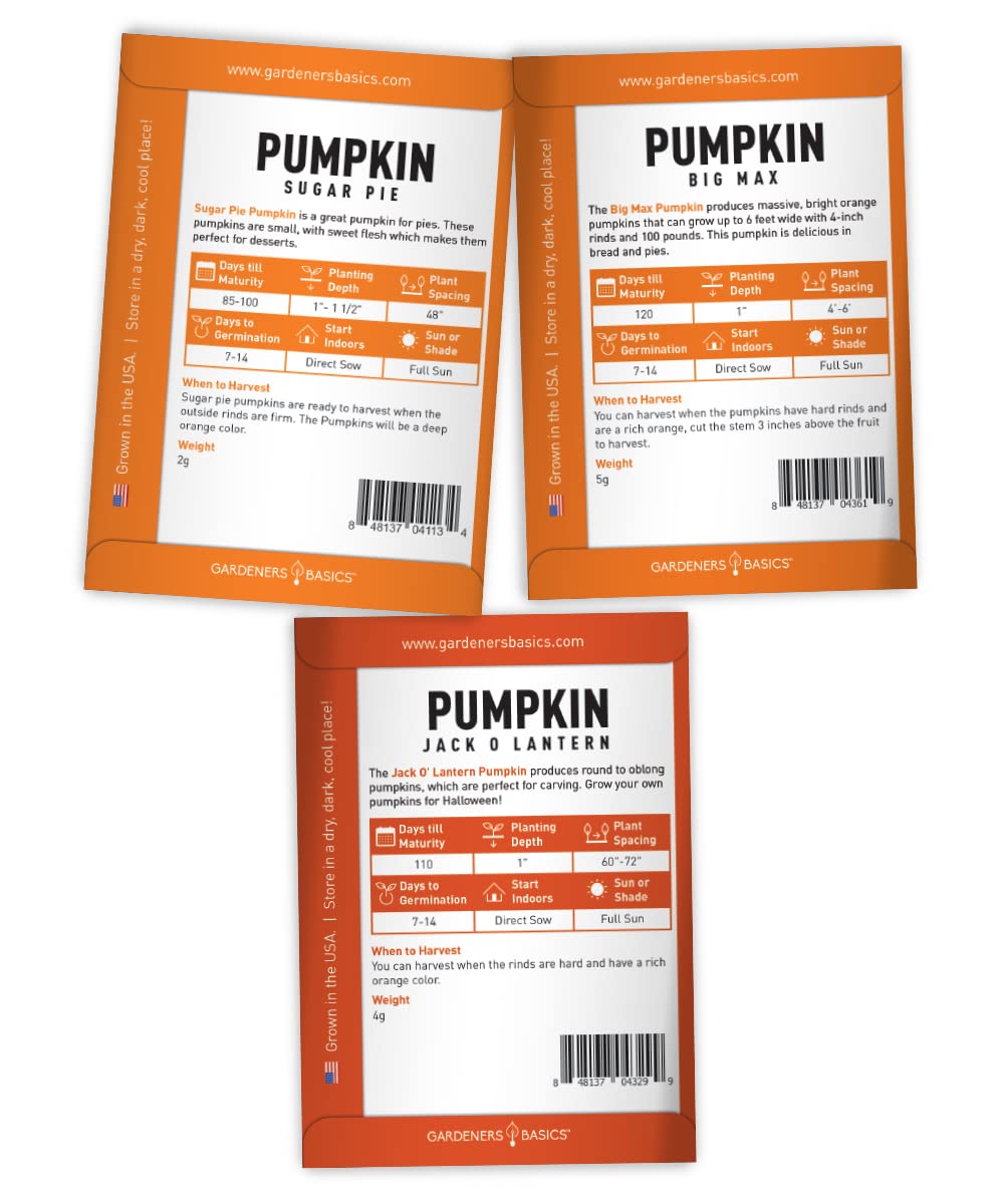 Gardeners Basics pumpkin seeds direct sow in outdoor garden for easy growing