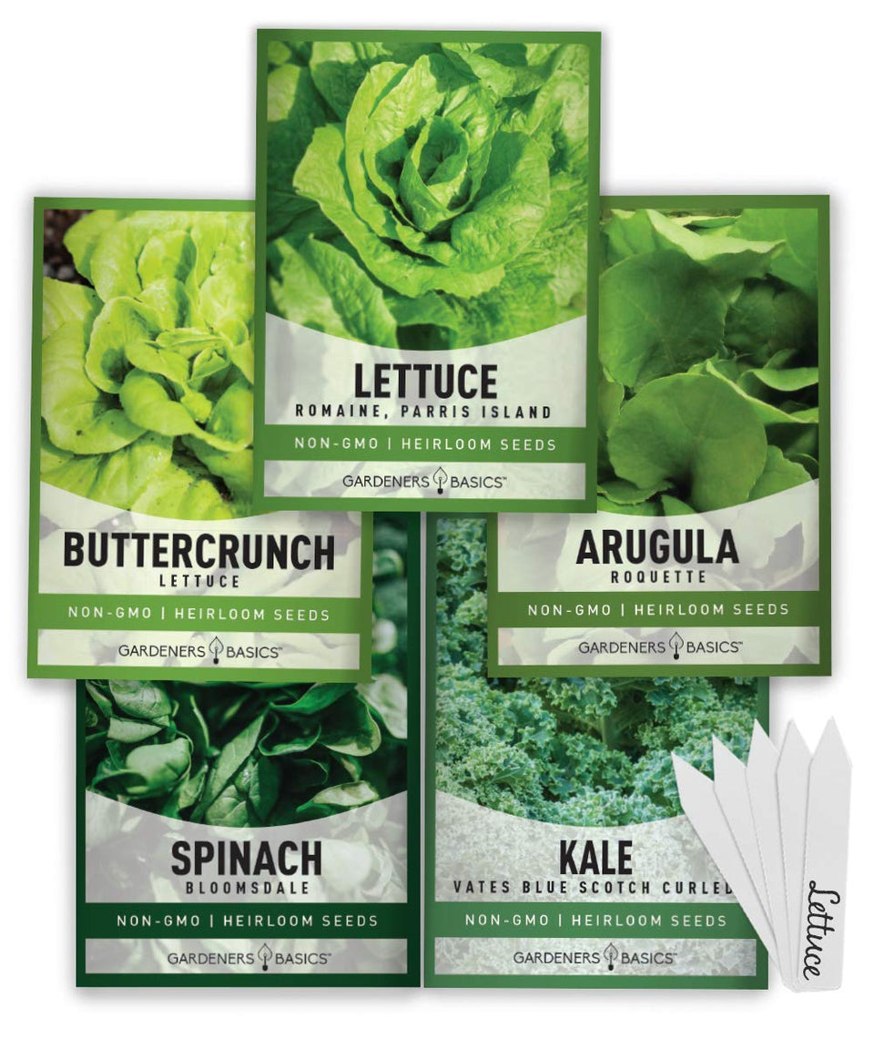 Gardeners Basics seed packets showcase five greens for year-round gardening.