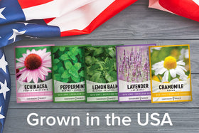 Gardeners Basics seed sowing directions printed on each packet for clear guidance.