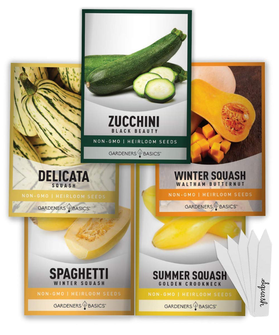 Gardeners Basics Delicata squash seed packet for easy home gardening