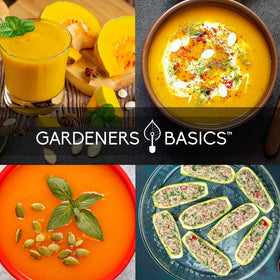 Gardeners Basics five-variety squash seeds kit for home gardens