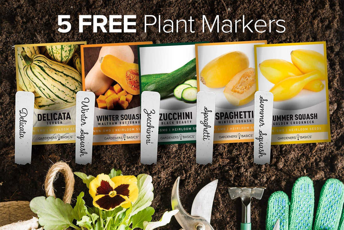 Gardeners Basics Golden Crookneck squash seed packet for bountiful harvest