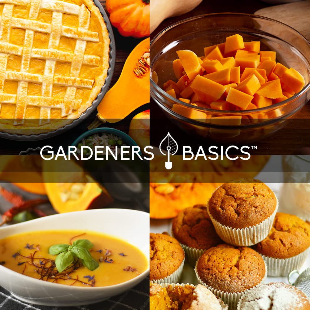 Gardeners Basics Sugar Pie seeds for classic orange pumpkins ideal for pies