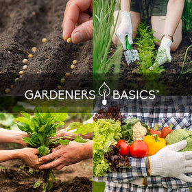 Gardeners Basics Survival Seeds Kit hydroponics-ready help for space-efficient growing.