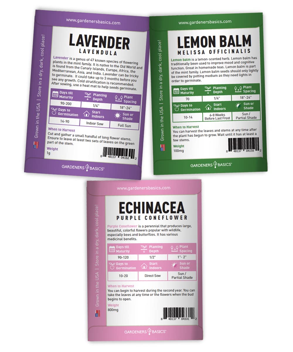 Gardeners Basics tea seeds close-up, showing variety for indoors or outdoors cultivation.