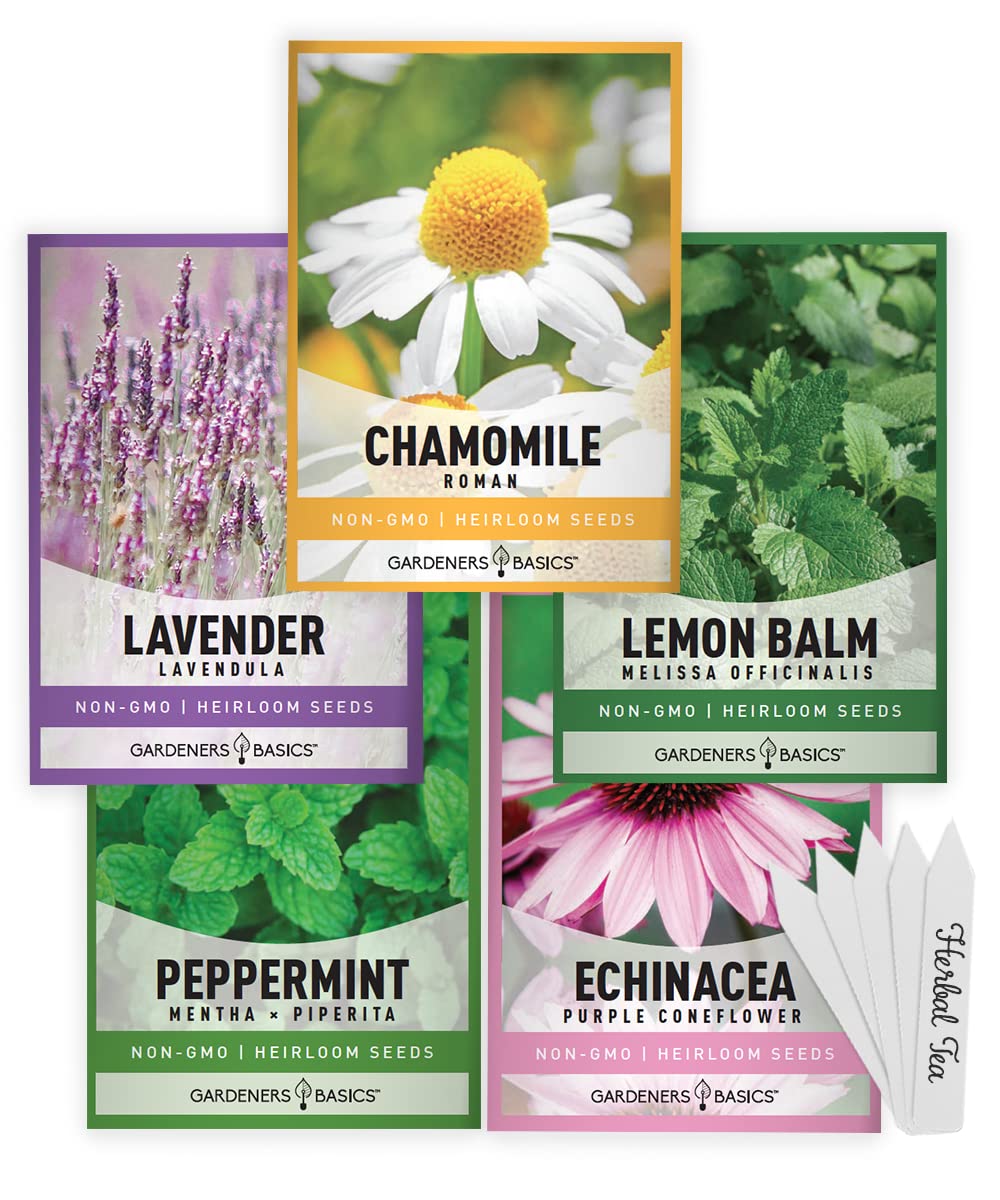 Gardeners Basics tea seeds front package, ready for easy kitchen herb garden inspiration.