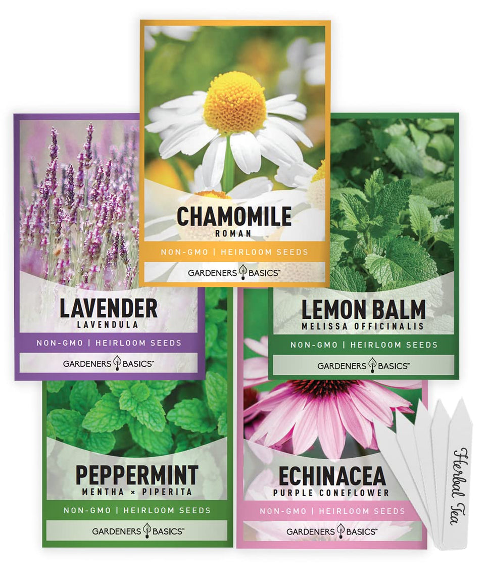 Gardeners Basics tea seeds front package, ready for easy kitchen herb garden inspiration.