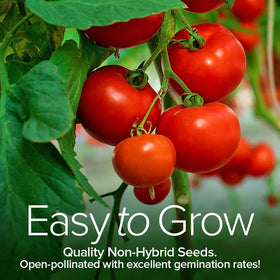 Gardeners Basics instruction guide for indoor start to outdoor harvest