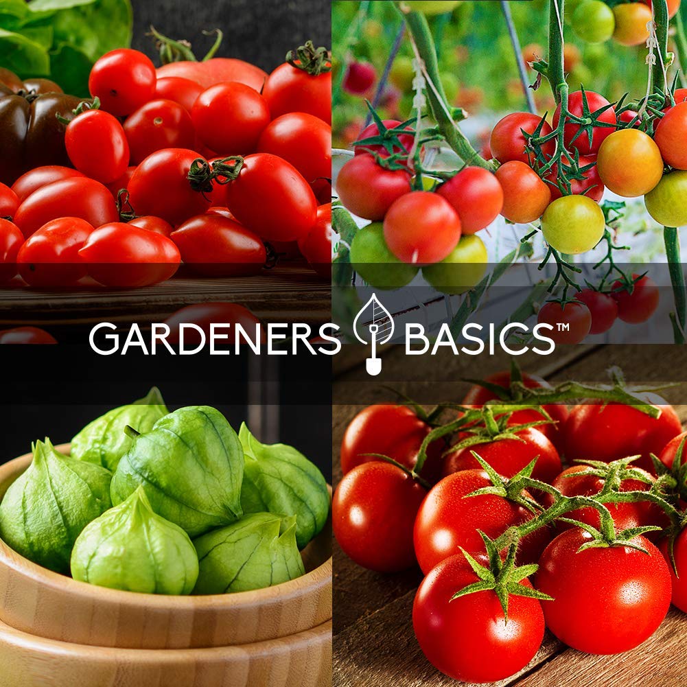 Gardeners Basics reusable pots for indoor seed starting and transplanting