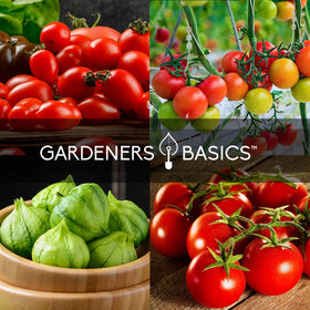 Gardeners Basics reusable pots for indoor seed starting and transplanting