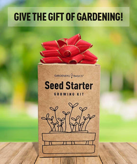 Gardeners Basics tomato seeds close-up showing variety and quality