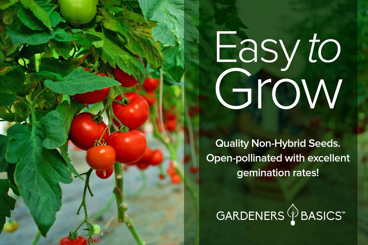 Gardeners Basics soil disks expanding for easy planting and strong roots