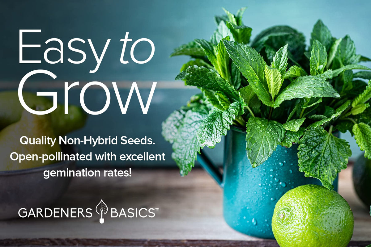 Gardeners Basics USA-grown heirloom seeds packaged for reliable planting.
