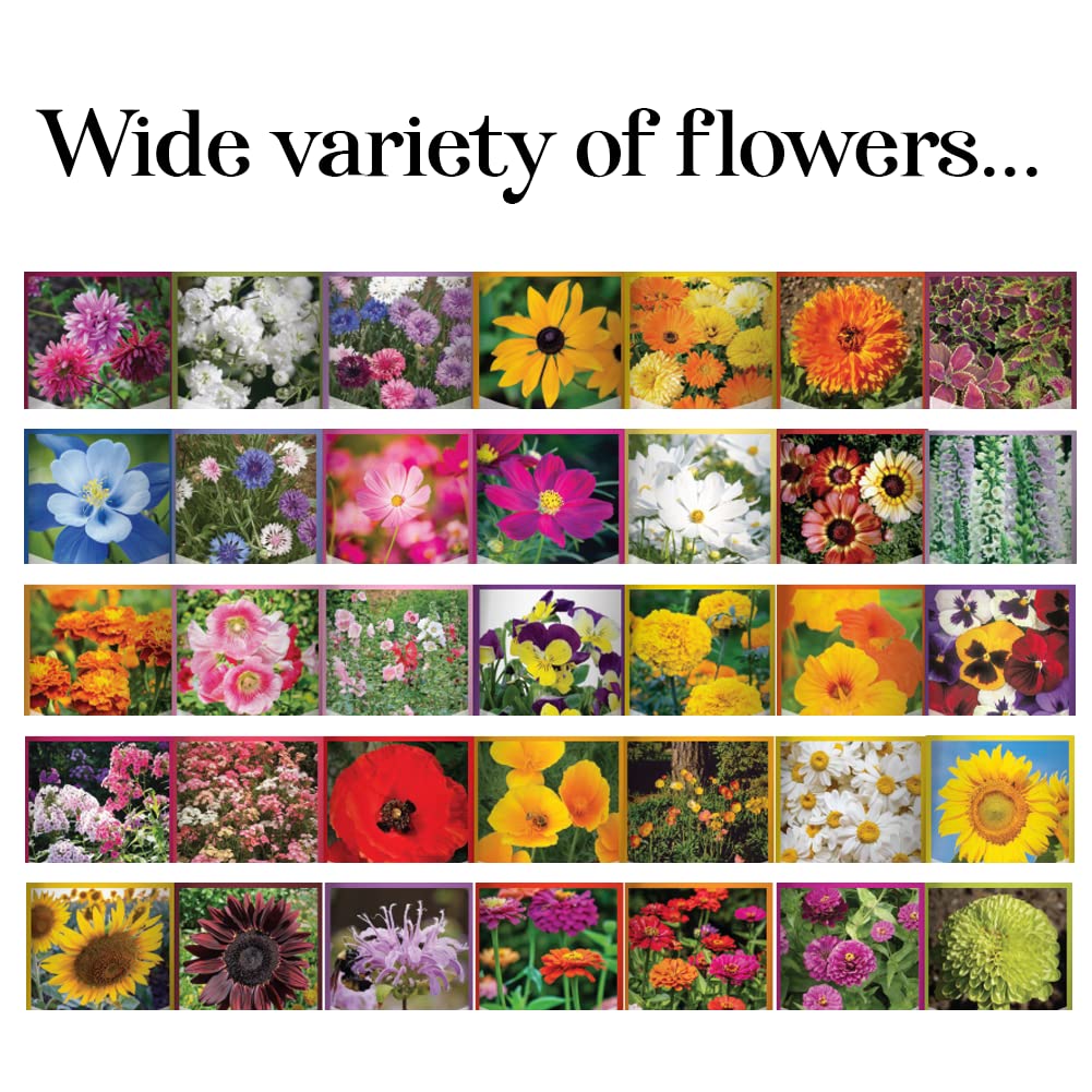 USA-sourced seeds from Gardeners Basics ready for local garden projects.