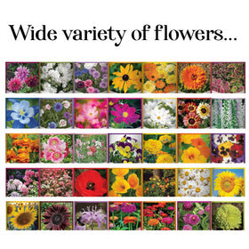 USA-sourced seeds from Gardeners Basics ready for local garden projects.