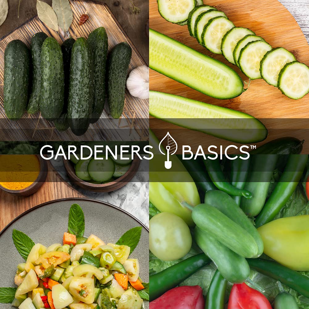 Gardeners Basics Yellow Lemon cucumber seeds offer sweet, string-free flavor.