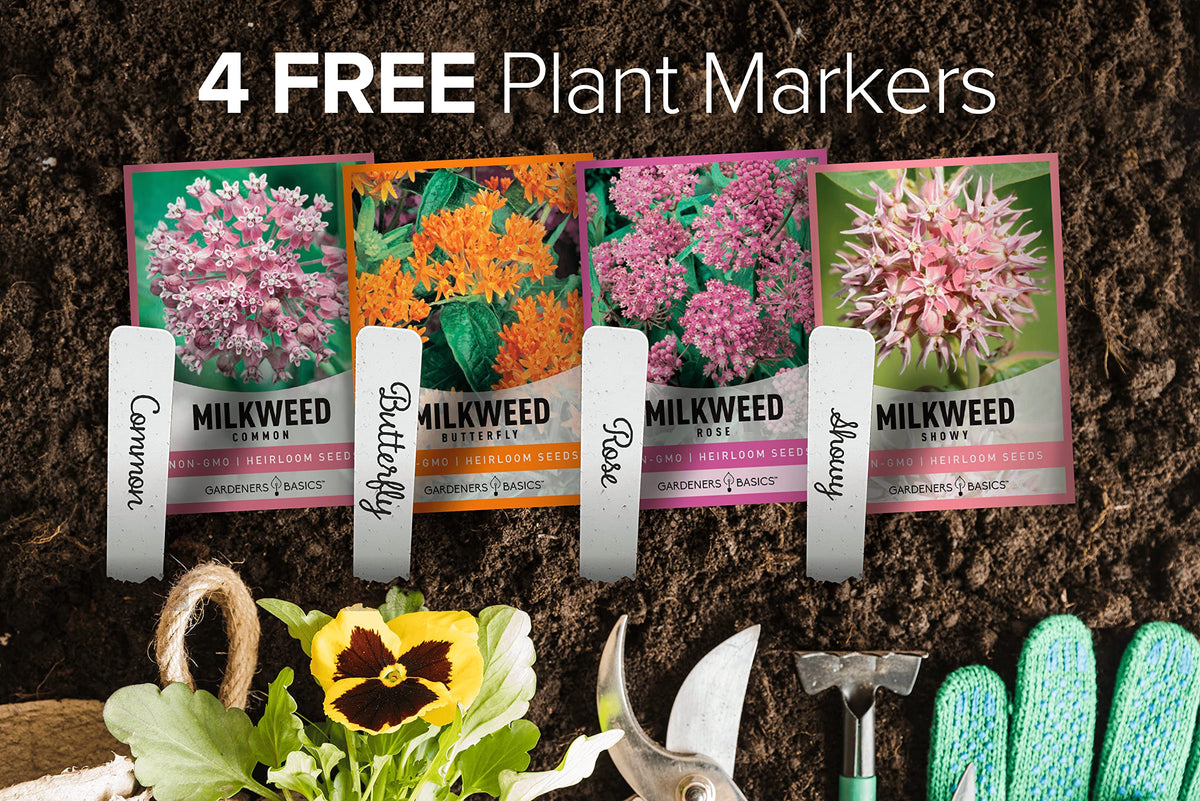Gardeners Basics Milkweed Common Seeds Pack sturdy native-style blooms for pollinators