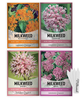 Gardeners Basics Milkweed Rose Seeds Pack attracts pollinators in sunny borders