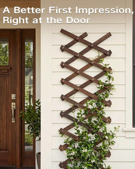 GardenFlow Climbing Plant Support with ivy and pothos for vertical gardening