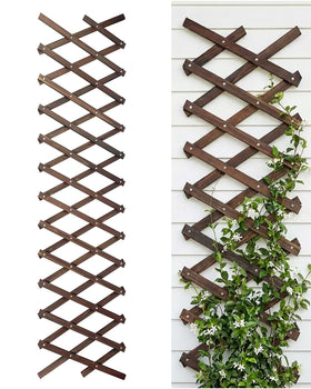 GardenFlow Expandable Trellis full-length mounted on wall for flexible indoor plant support