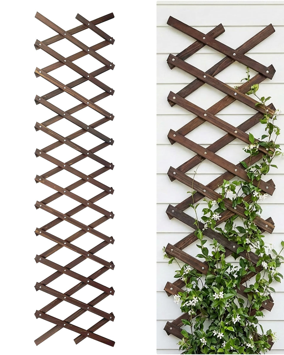GardenFlow Expandable Trellis full-length mounted on wall for flexible indoor plant support