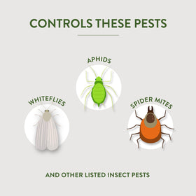 Garden Safe Fungicide 3 for houseplants promotes healthy leaves and pest defense