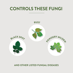 Garden Safe Fungicide 3 protects ornamental trees and shrubs with broad-spectrum coverage